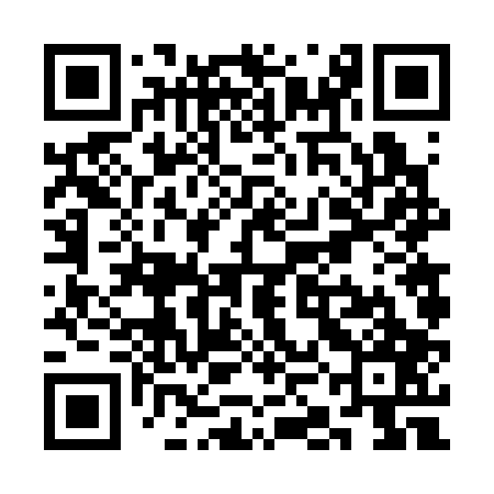 QR code for SKF307