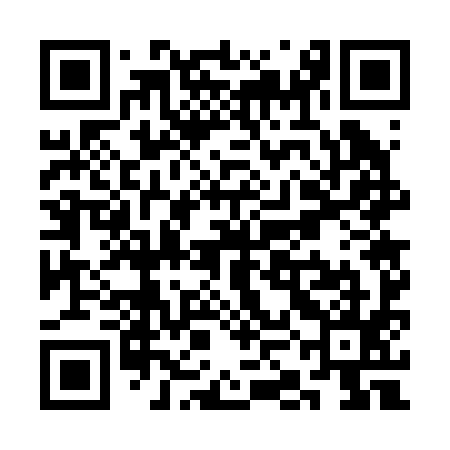 QR code for SKG295
