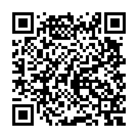 QR code for SKG413