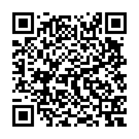 QR code for SKG431
