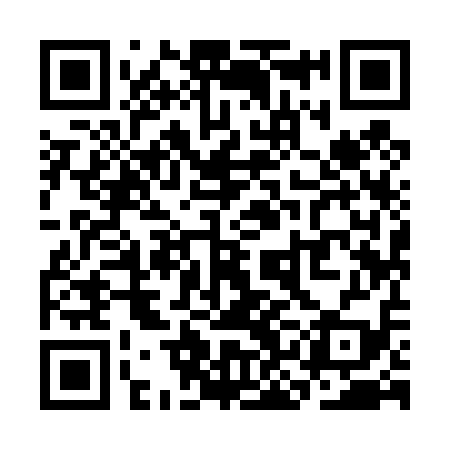 QR code for SKI419
