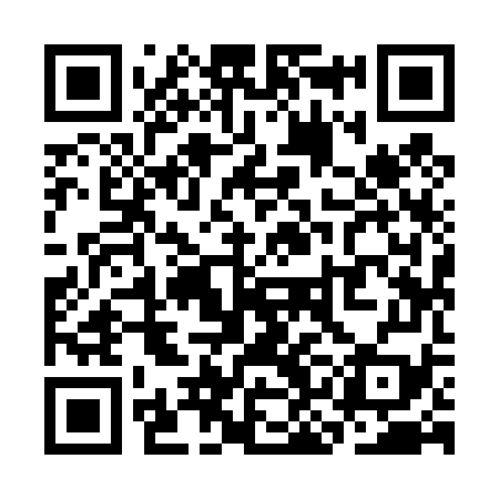 QR code for SKI479