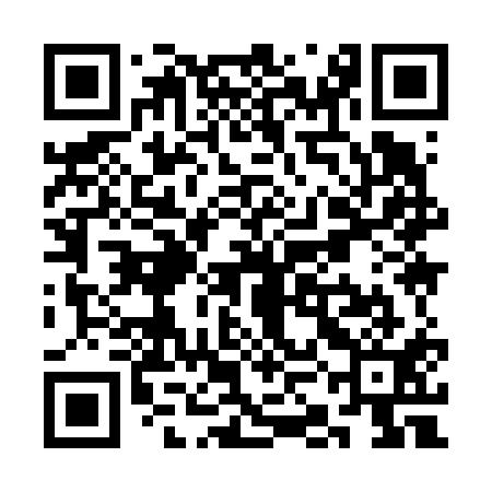 QR code for SKI611
