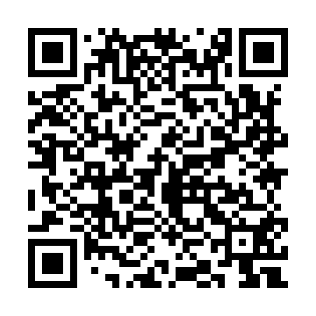 QR code for SKI950