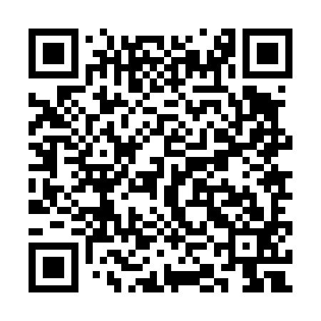 QR code for SKJ493
