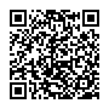QR code for SKM385