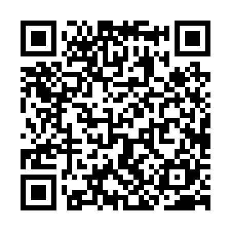 QR code for SKP225