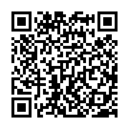 QR code for SKP419