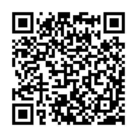 QR code for SKR293