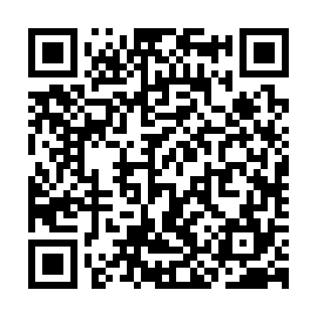 QR code for SKR374