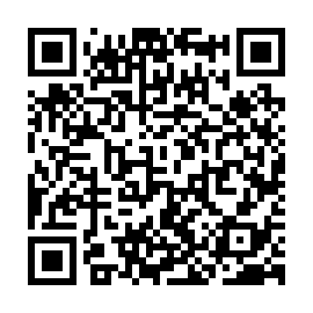 QR code for SKV238