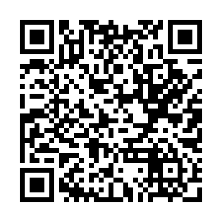 QR code for SLD595