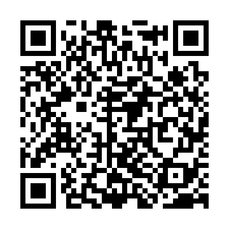 QR code for SLF379