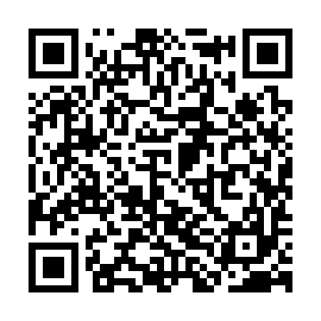 QR code for SLI397