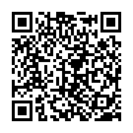 QR code for SLJ339