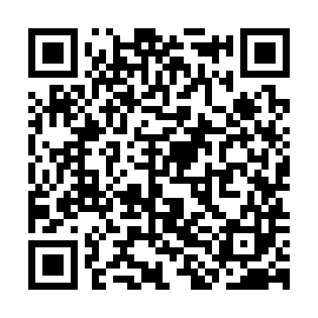 QR code for SLK383