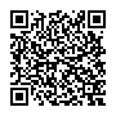 QR code for SLR173
