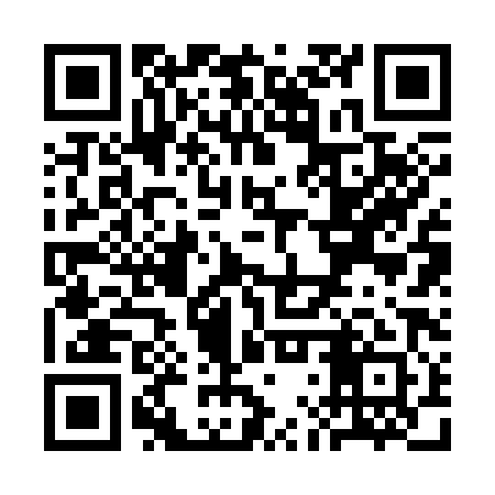 QR code for SLR381