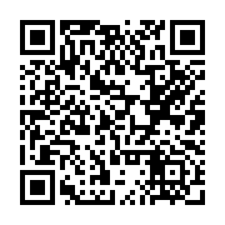 QR code for SLR393