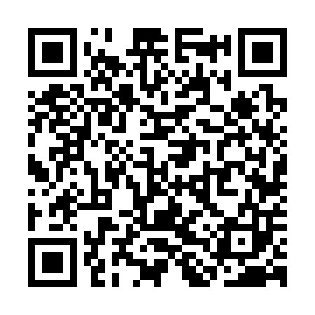 QR code for SLV303