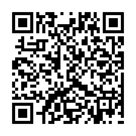 QR code for SLV397