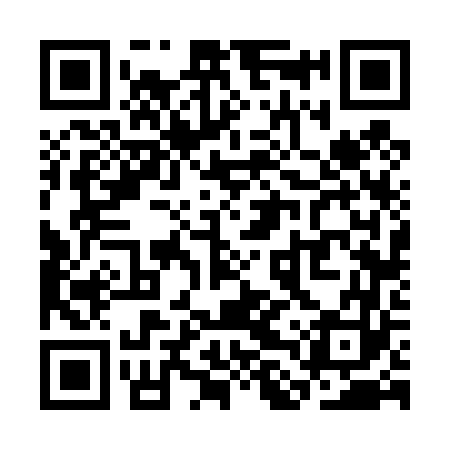 QR code for SLV463