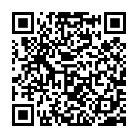 QR code for SML491