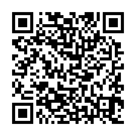QR code for SMT381
