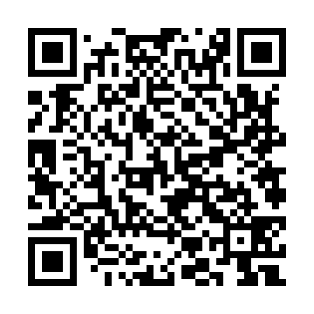 QR code for SMV939