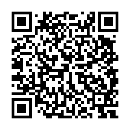 QR code for SNF493