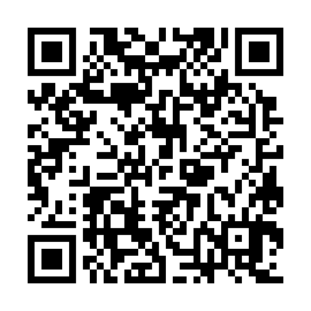 QR code for SNG384