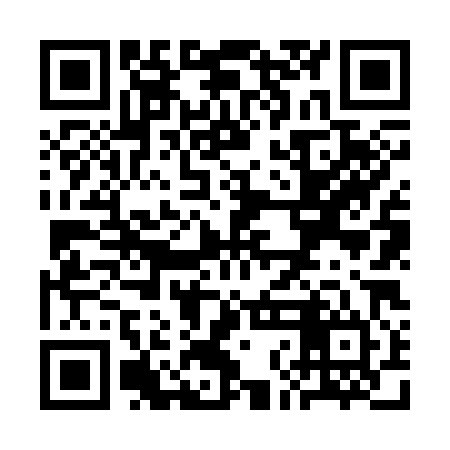 QR code for SNN384