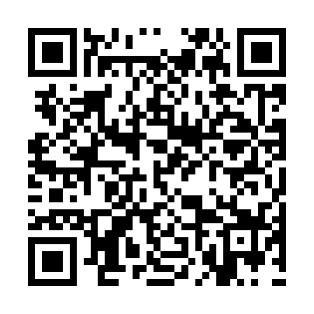 QR code for SNO939