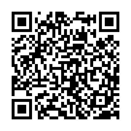 QR code for SNP441