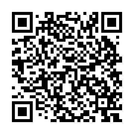 QR code for SNR217