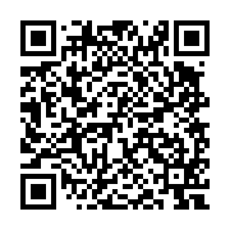 QR code for SNR495