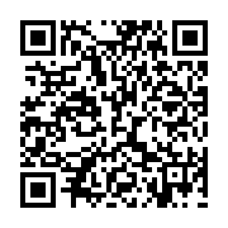 QR code for SOI295