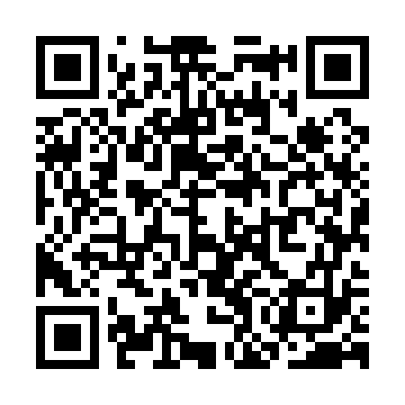 QR code for SOM173