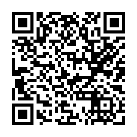 QR code for SON991