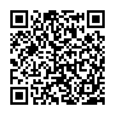 QR code for SOY317