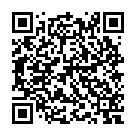 QR code for SPA313