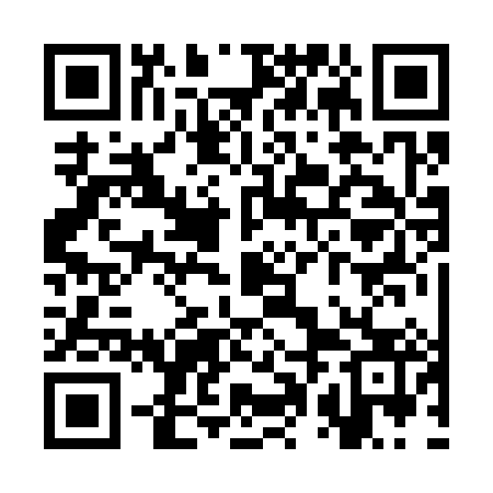 QR code for SPB383