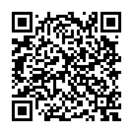 QR code for SPI011