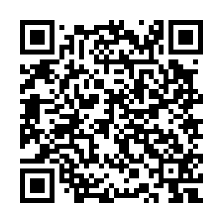 QR code for SPJ013