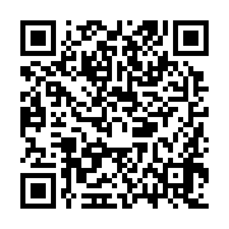 QR code for SPJ398