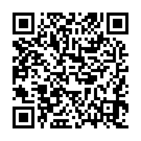 QR code for SPJ951
