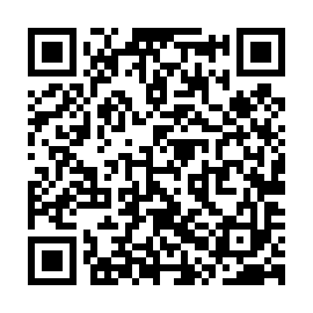 QR code for SPL493