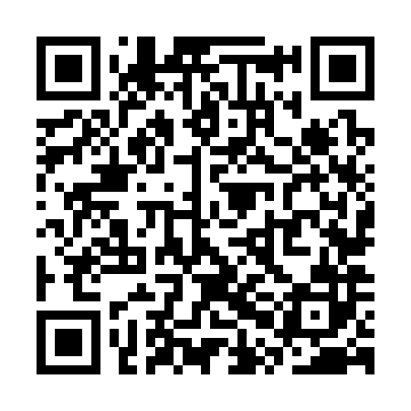 QR code for SPN382