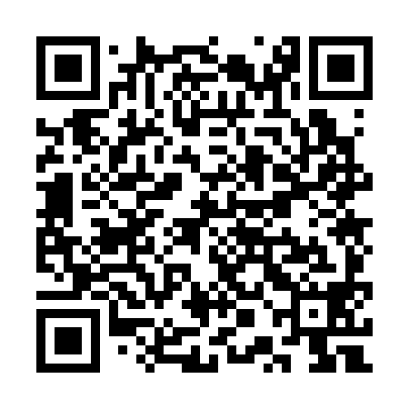 QR code for SPO398
