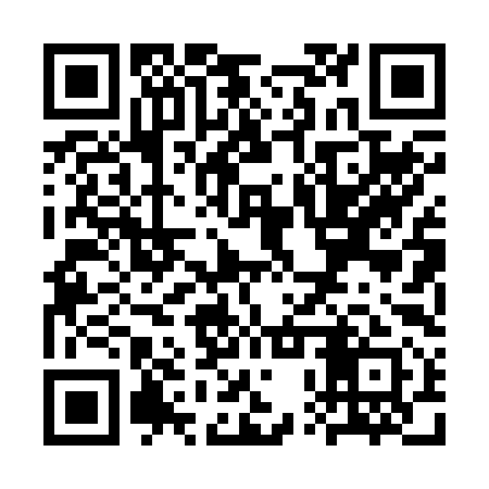 QR code for SPP291